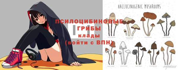 ГАЛЛЮЦИНОГЕННЫЕ ГРИБЫ Аркадак