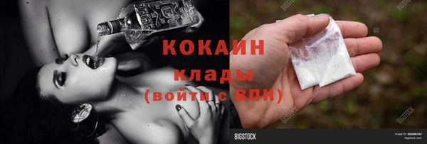 ГАЛЛЮЦИНОГЕННЫЕ ГРИБЫ Аркадак