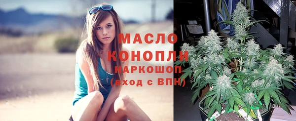 мдпв Кукмор