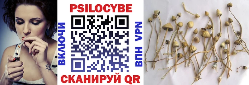 где купить наркотик  hydra ссылки  Галлюциногенные грибы мухоморы  Болотное 